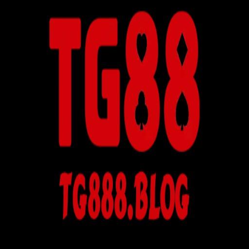 Tg Blog