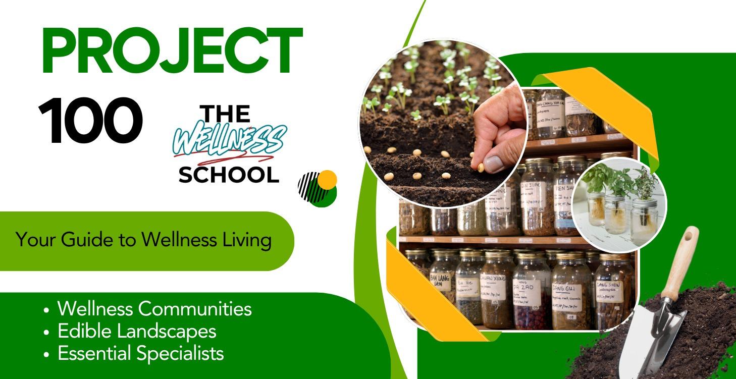 “Grow What You’ve Got” Dollar Tree & Thrift Series