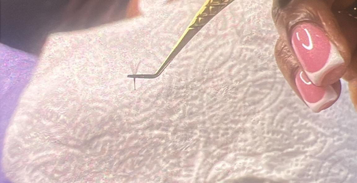 Handmade Lash Fans Mastery