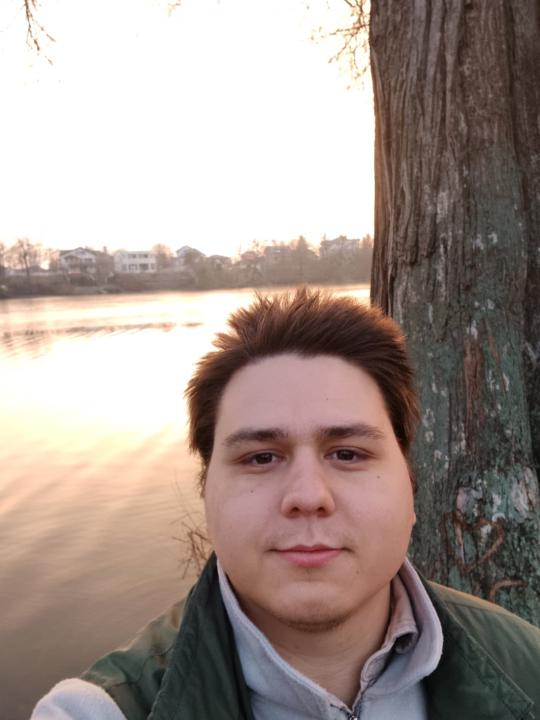 Cosmin Visan