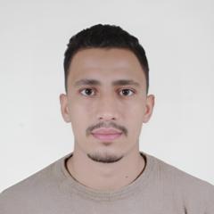 Radouane M'handi
