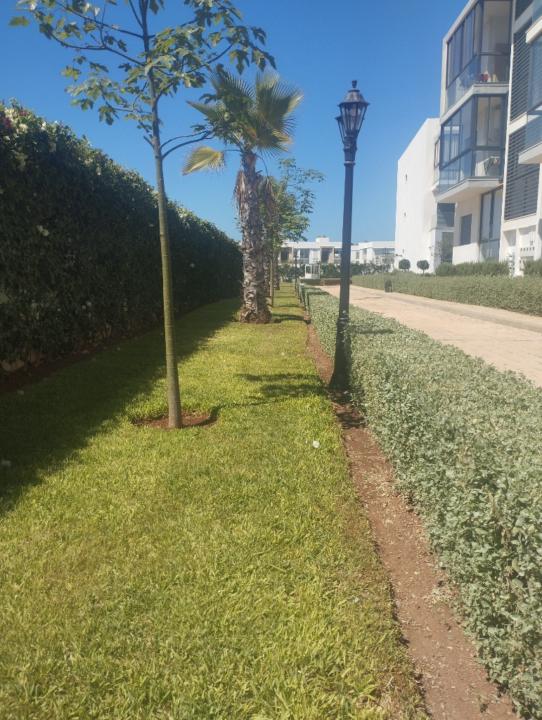 طه النجماوي