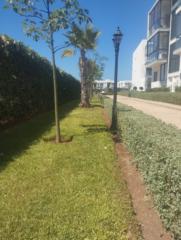 طه النجماوي