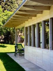 עמיר לוינסון