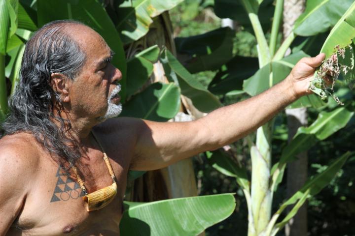 Für uns Frauen 👱🏼‍♀️: Online-Heilreise 🌿🌈🌿 mit Kahu