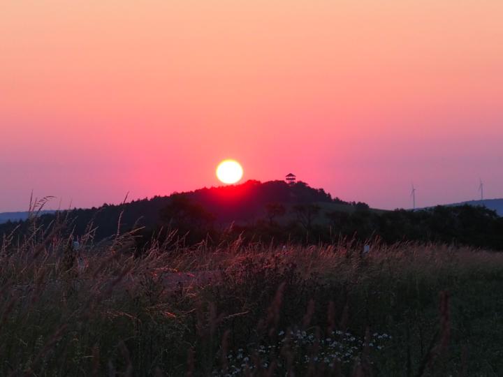 🎶 Musikalisch in den Tag und aus dem Tag schwingen 🦋