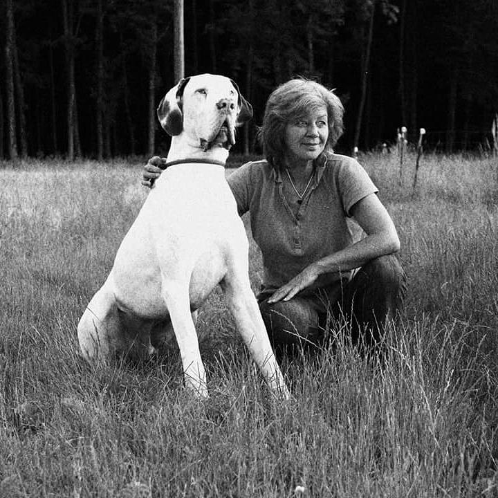 🐶Welche Trainingsmethode ist die richtige für meinen Hund?