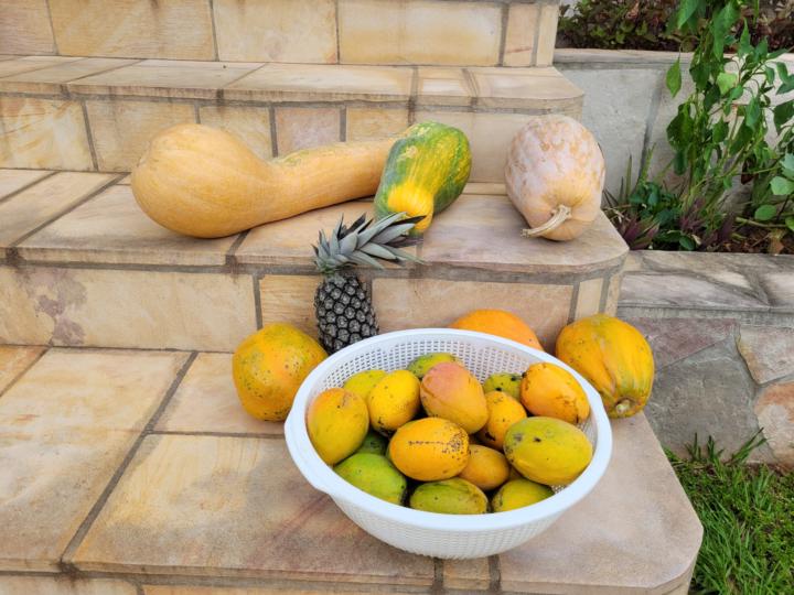 Auf der Suche nach visionären Partnern: Aufbau einer globalen, süßen Gemeinschaft 🌍🍯