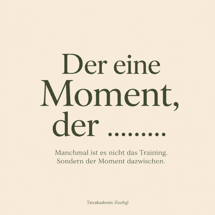 🐶 Der eine Moment, der ……….