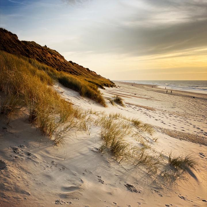 Workshop KREATIVE iPHONE-FOTOGRAFIE - Sylt I Akademie am Meer