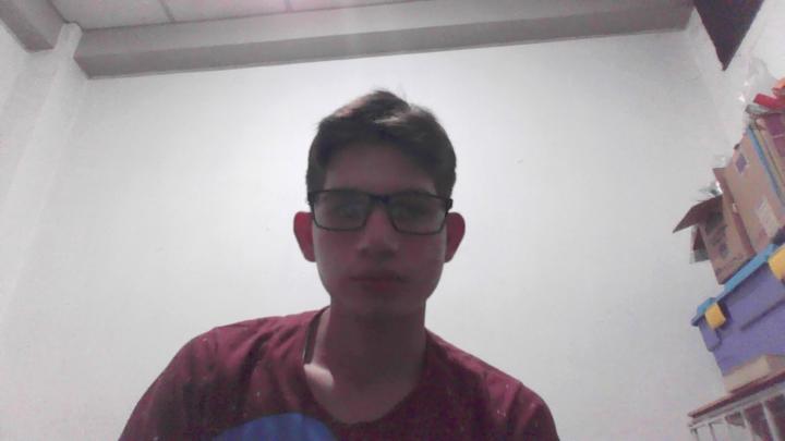 Diego Javier Ortega Ronquillo