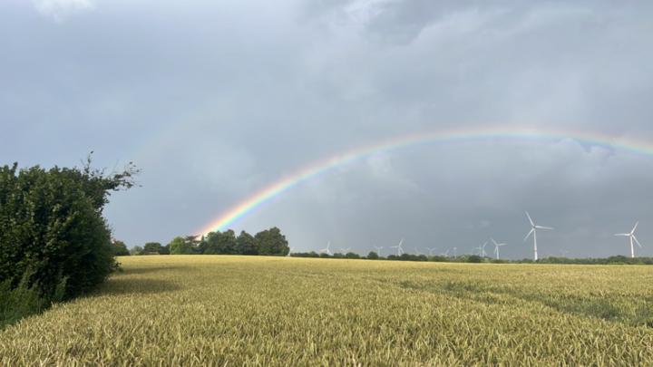 Ulrike Von Graevemeyer