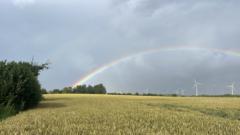 Ulrike Von Graevemeyer