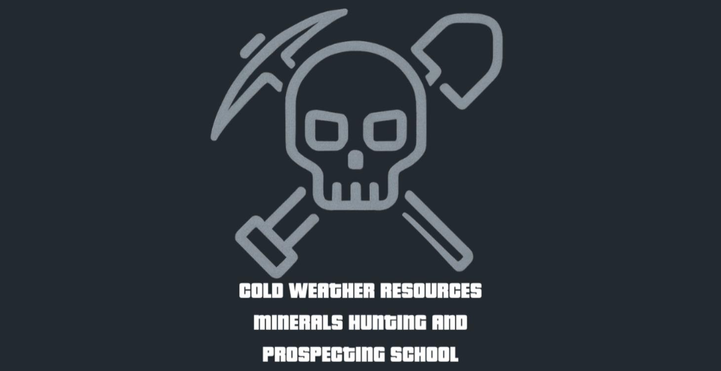 MODULE 5 - CRITICAL MINERALS