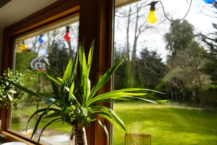 Nandhakumar Palaniswami