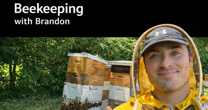 Beekeeping with Brandon