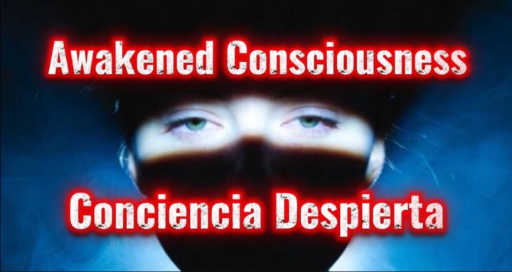 Consciencia Despierta
