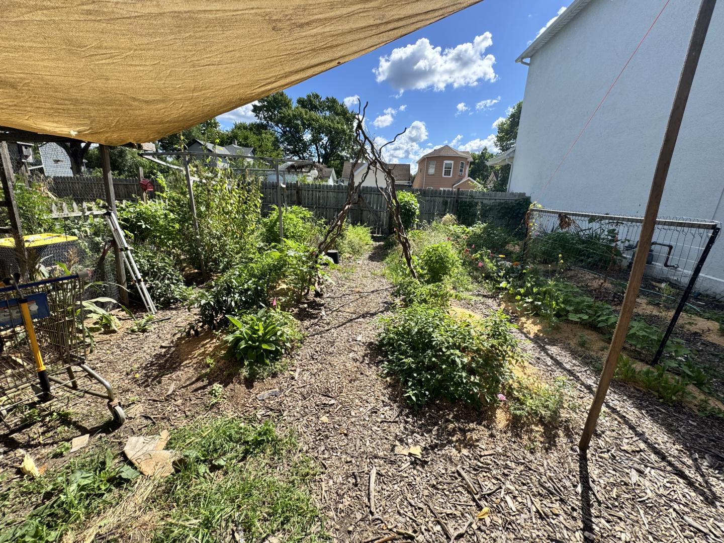 Homesteading for Everyone