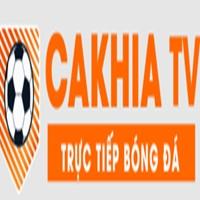 Bickellfoundation Org lừa đảo