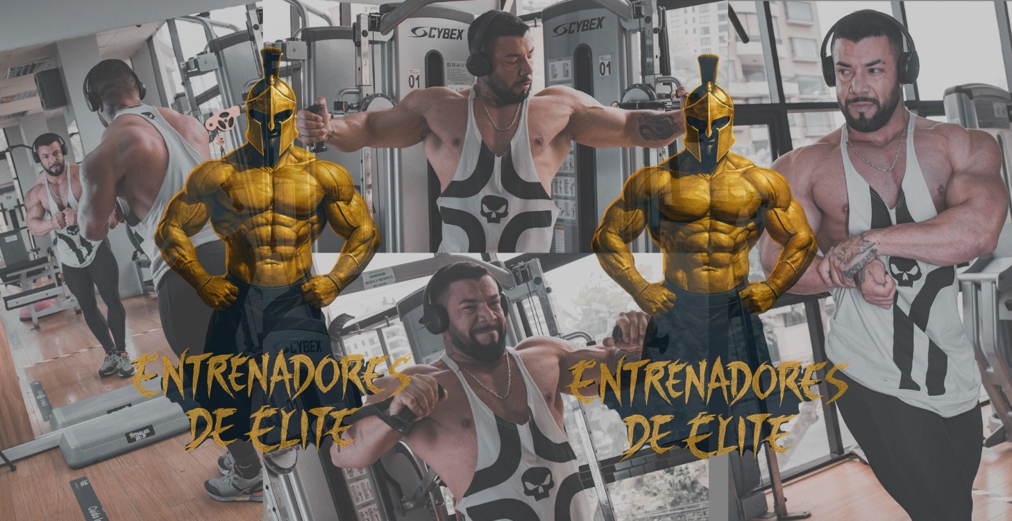 ENTRENADORES DE ELITE 💎 ​