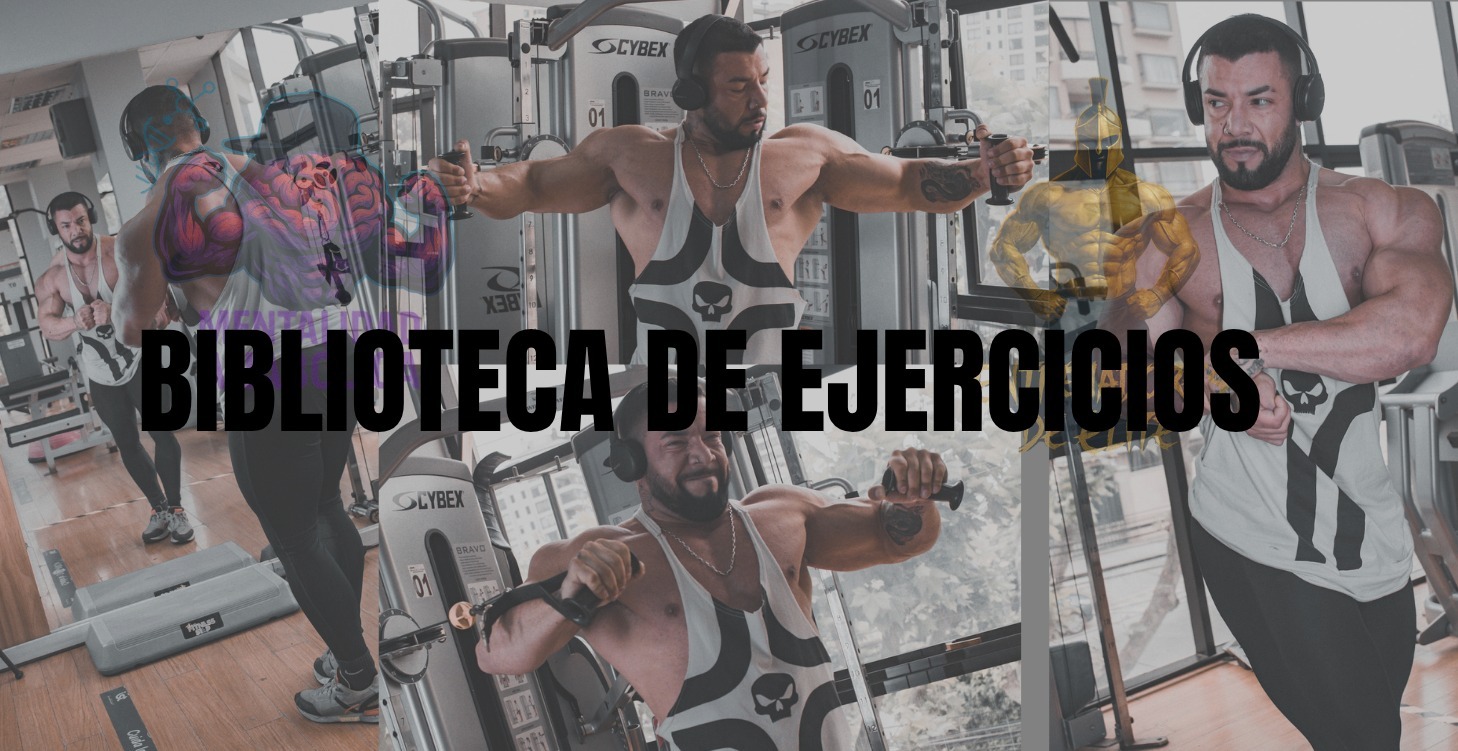 EJERCICIOS EFECTIVOS