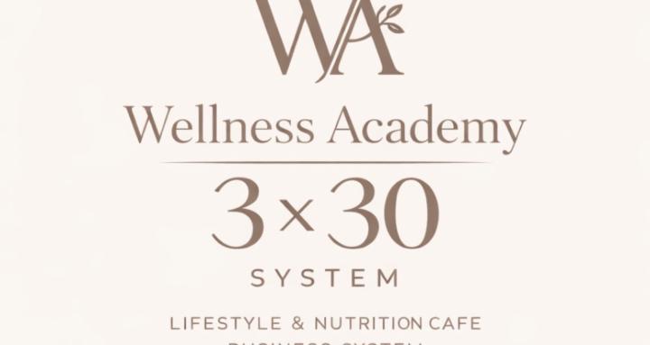 Wellness Academy 3x30 System 