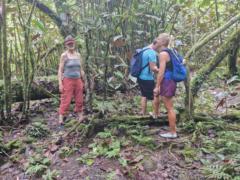 Monika Lassau - Vallentin