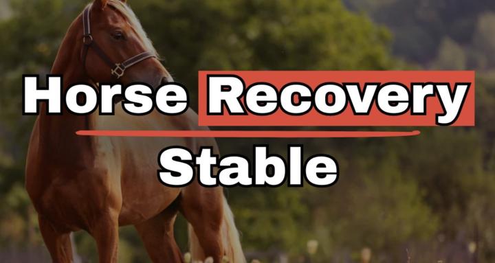 Horse Recovery Stable