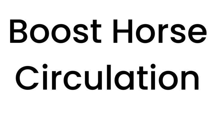 Boost Horse Circulation