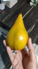 Preutipong Jangjumrus