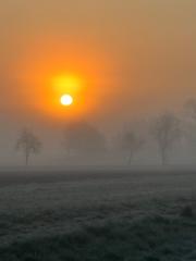 Stefan Heising