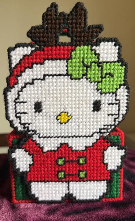 Pretty Hello Kitty basket