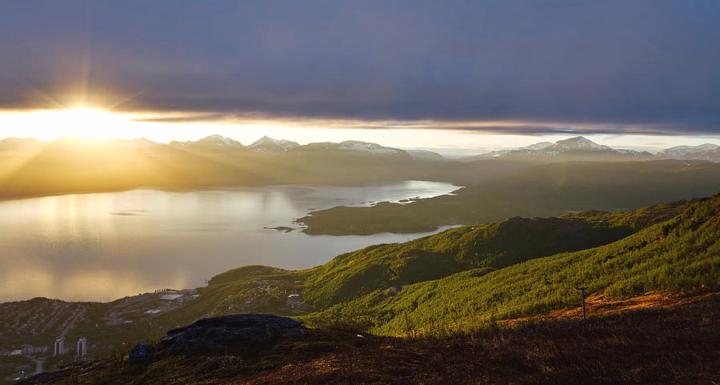 Anna Carcano