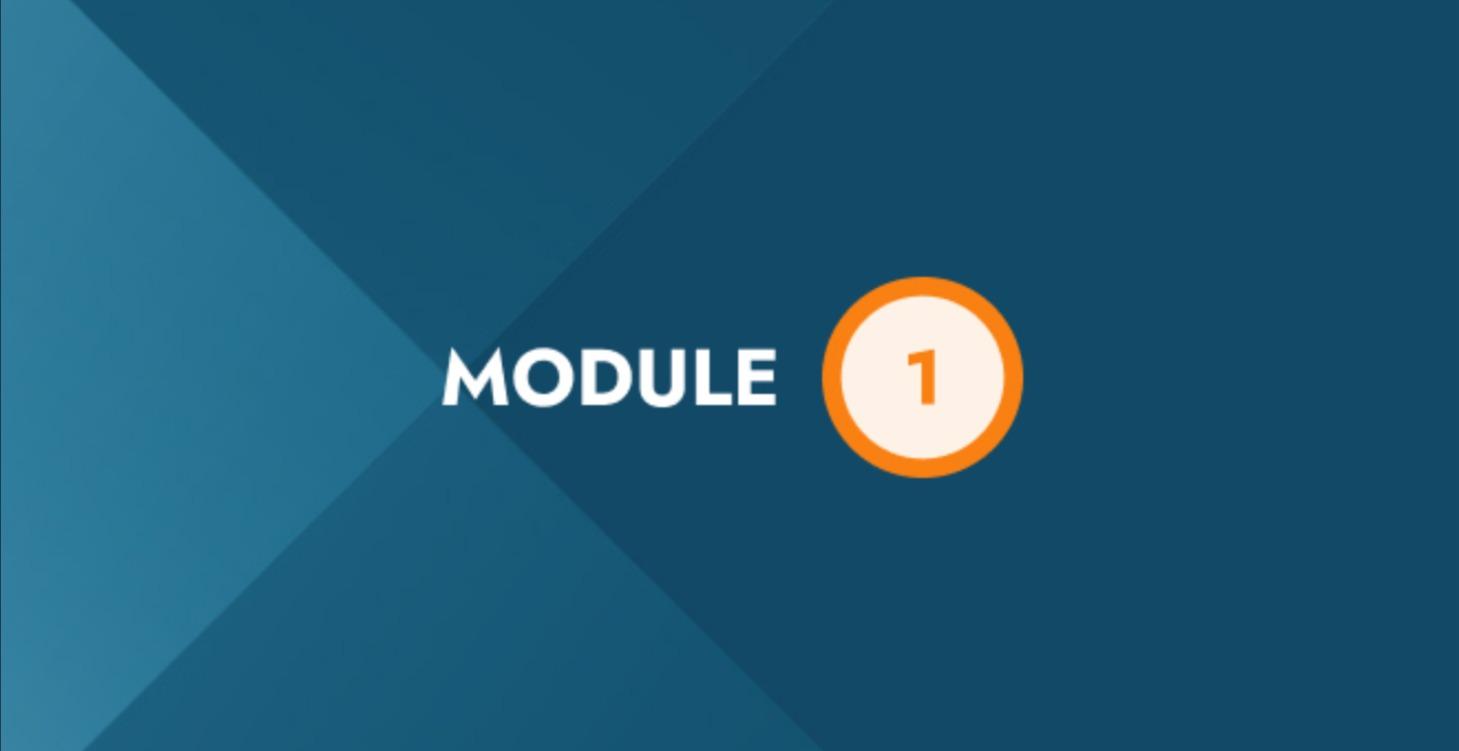 MODULE 1