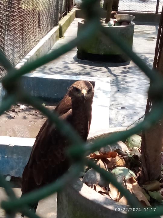 MD Raju Ahmed Munshi