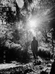 Manuel Zurita Guzman