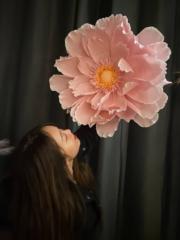 Xarlotte Li