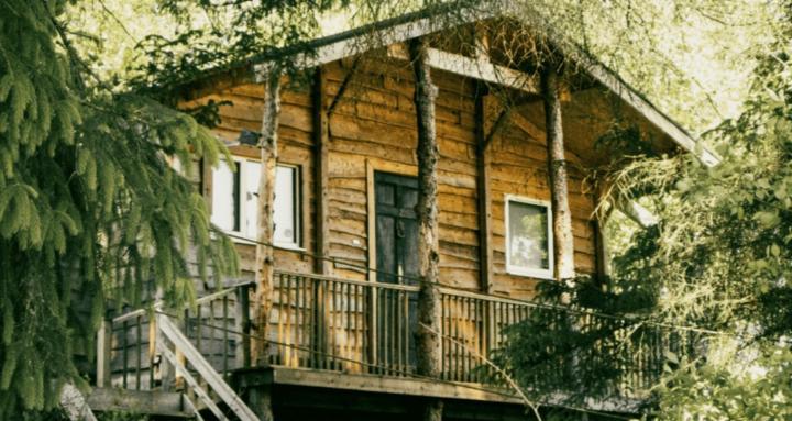 The Treehouse™ | Funko