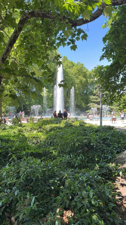 Today on Margit Island