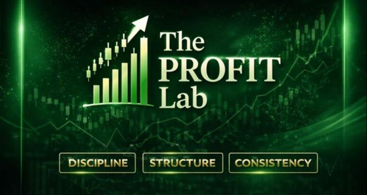 The Profit Lab