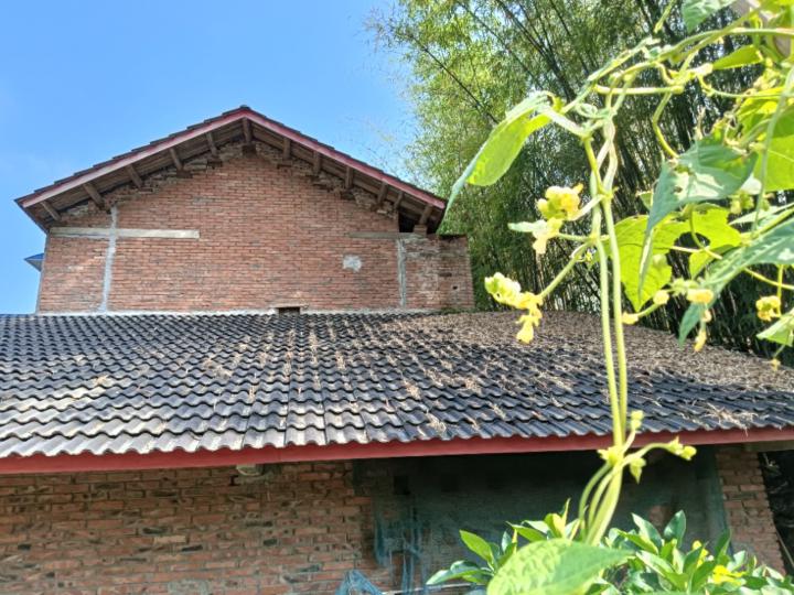 远坤 杨