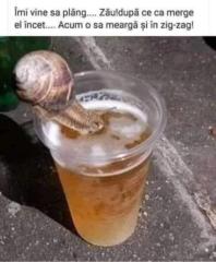 Bogdan G