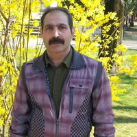 Hoamea Iulian