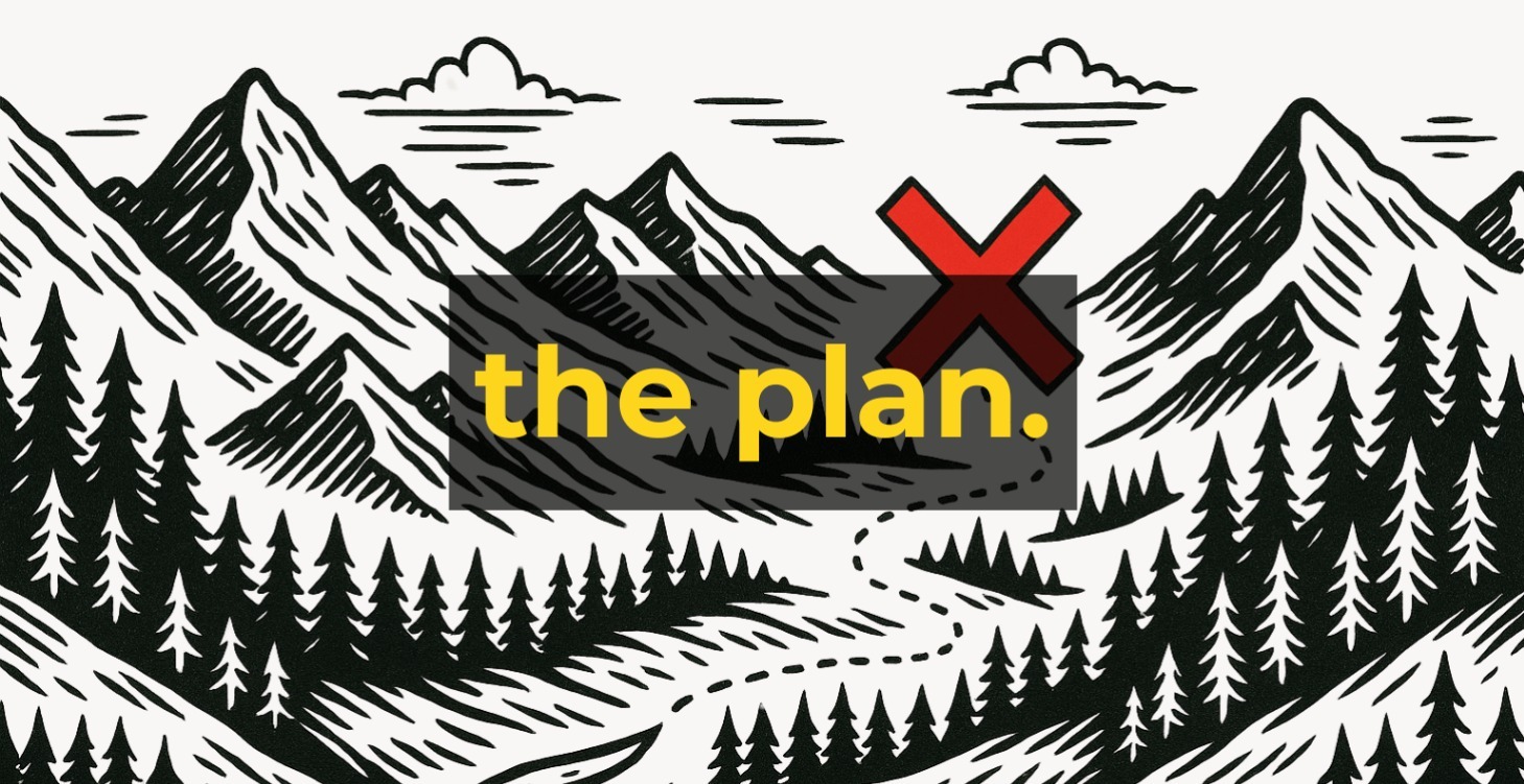STEP 3: The Plan