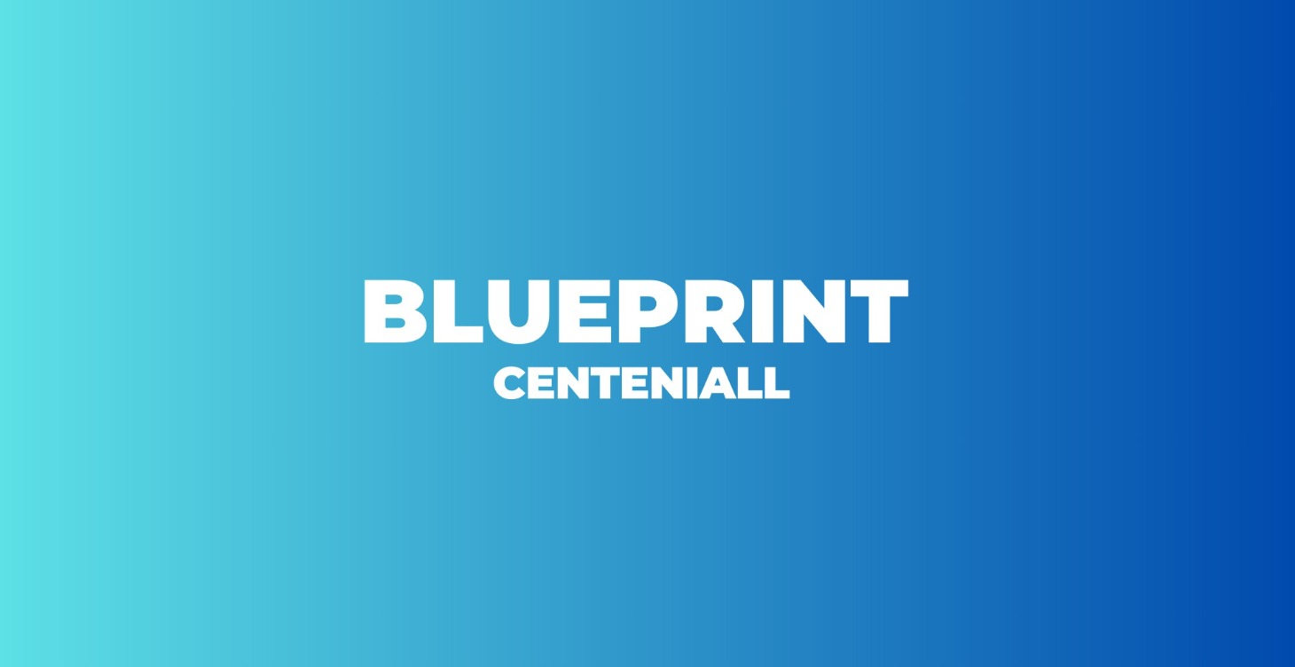 CURSO ECOMMERCE: BLUEPRINT