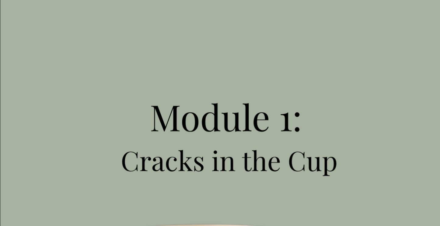 Module 1:  Cracks in the Cup