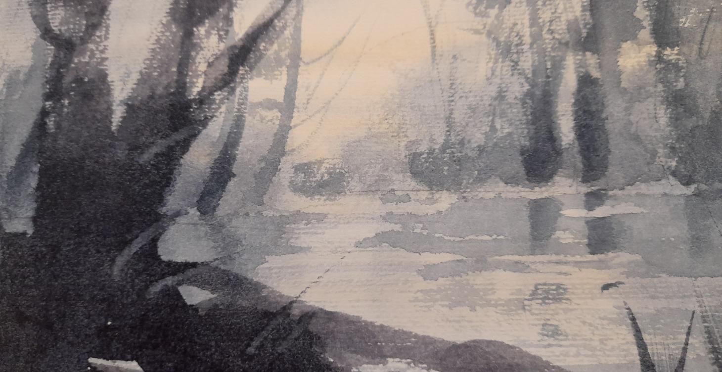 Pond Reflections