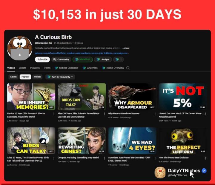 With just 13 uploads, this channel has earned $10K! 🤑