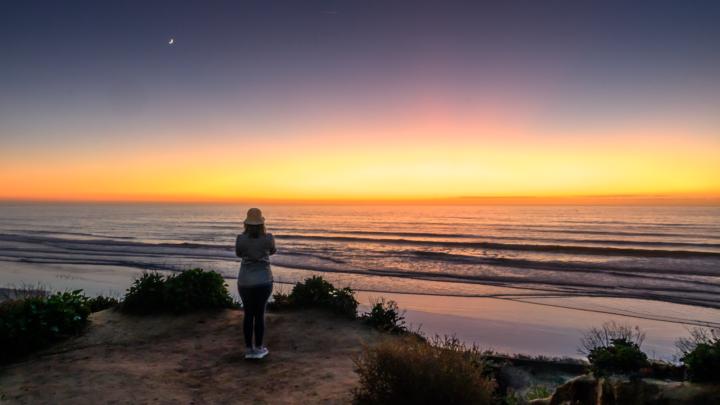 Torrey Pines State Beach
