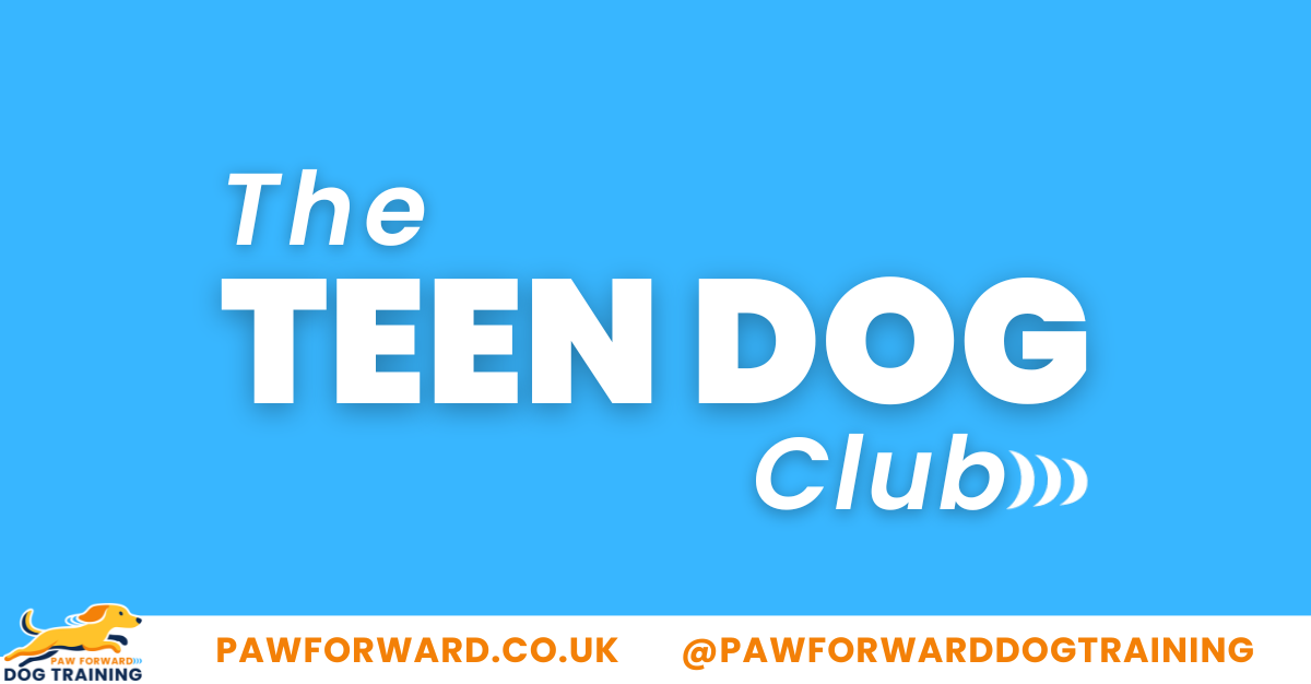 Teen Dog Club